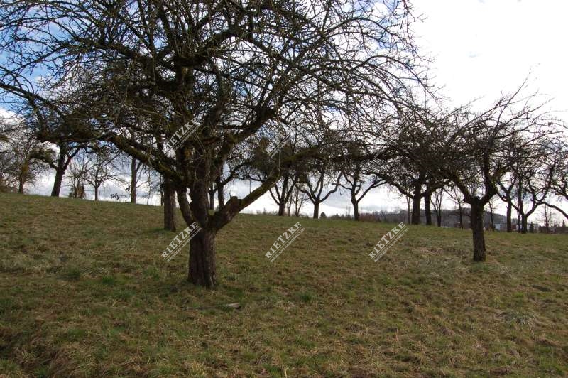 Rietzke-ETW-Gronau-Umfeld - 2,5 Zimmerwohnung in 2 Fam.- Wohnhaus mit Terrasse und Aussenstellplatz, provisionsfrei!