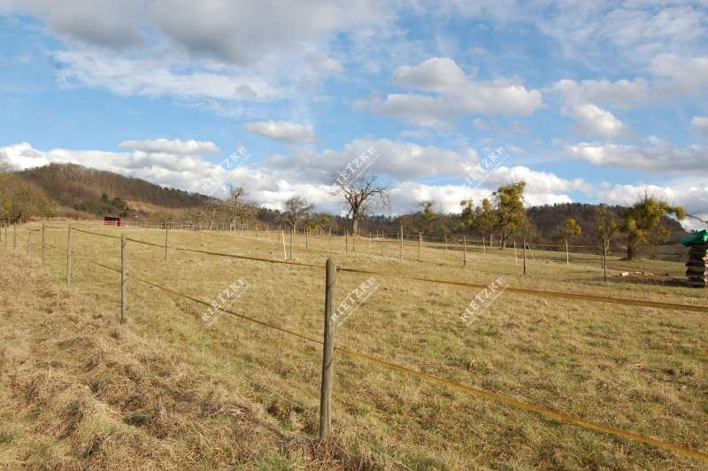 Rietzke-ETW-Gronau-Umfeld-1 - 2,5 Zimmerwohnung in 2 Fam.- Wohnhaus mit Terrasse und Aussenstellplatz, provisionsfrei!