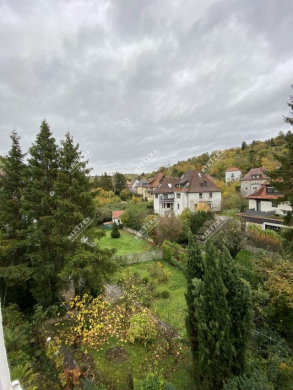 Helle geräumige 4-Zimmer Wohnung geeignet als Monteurwohnung oder als Studenten-WG - ARI-10956-OG-Aussichtt (4518)