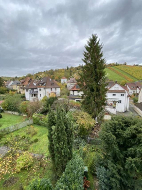 Helle geräumige 4-Zimmer Wohnung geeignet als Monteurwohnung oder als Studenten-WG - ARI-10956-OG-Aussicht-2 (4519)