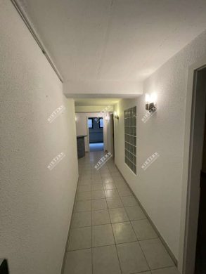 Raumwunder, Wohnen und Arbeiten auf 2 Ebenen mit viel Platz, 7 Räume, EBK, Garage und Stellplatz - ARI-10952-EG-UG-Gang-1 (4224)