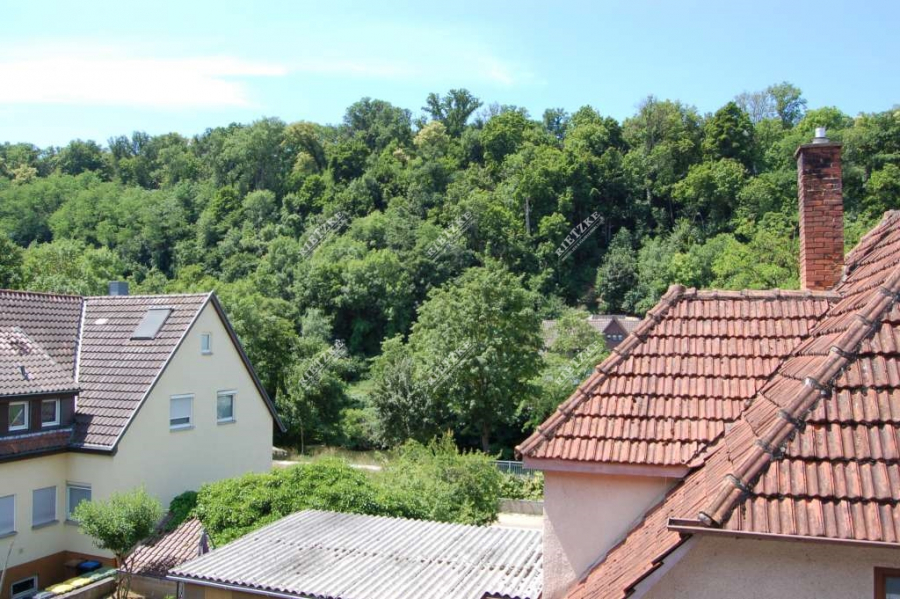 ARI-10947-Balkon-Ausblick - Helle, freundliche neu renovierte 3 Zi.-Wohnung mit Balkon und Aussenstellplatz