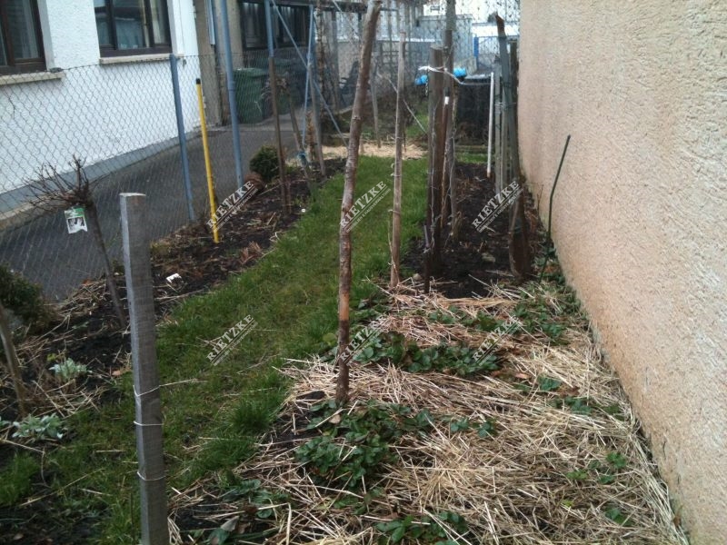 ARI-9216-Garten - Älteres 1-2 Familienhaus mit Scheuer – Garage und kleinem Garten