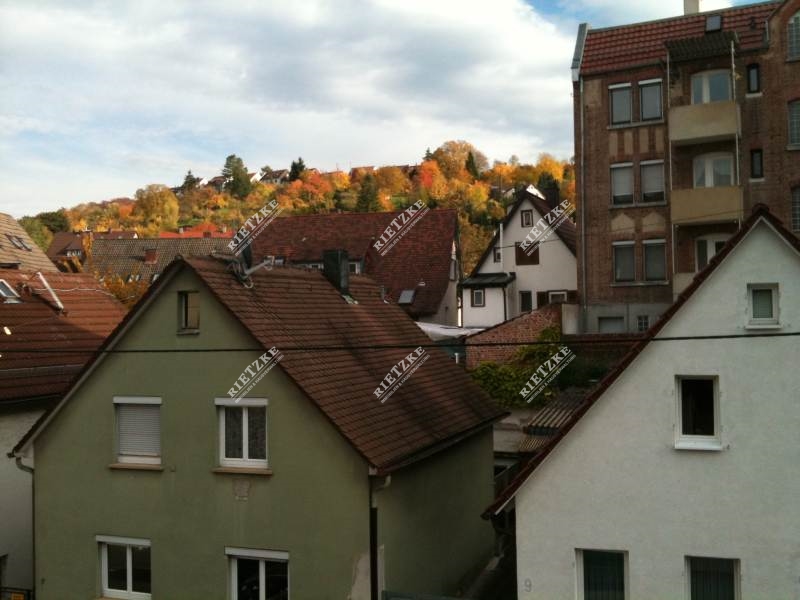 ARI-9214-Balkonaussicht - Angenehme 2 Zi.Wohnung mit Balkon, TL-Bad und TG.-Platz -im Kaufpreis enthalten