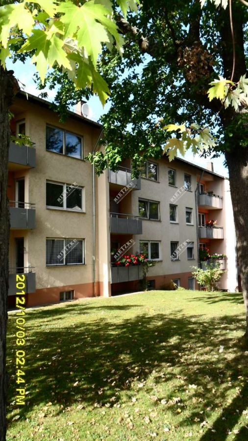 ARI-9252-Hausansicht-1 - Renovierungsbedürftige 2 Zi.- Wohnung mit Balkon sucht Handwerker