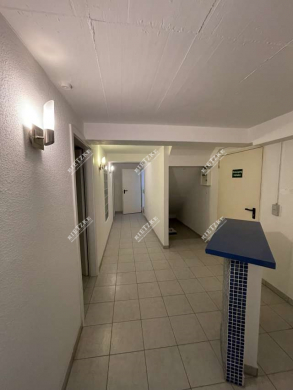 Raumwunder, Büroräume auf 2 Ebenen mit viel Platz, 7 Räume, EBK, Garage und Stellplatz - ARI-10952-EG-UG-Gang-3 (4452)